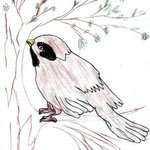 Николай рубцов Воробей рисунок