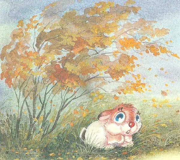 Блок зайчик книга