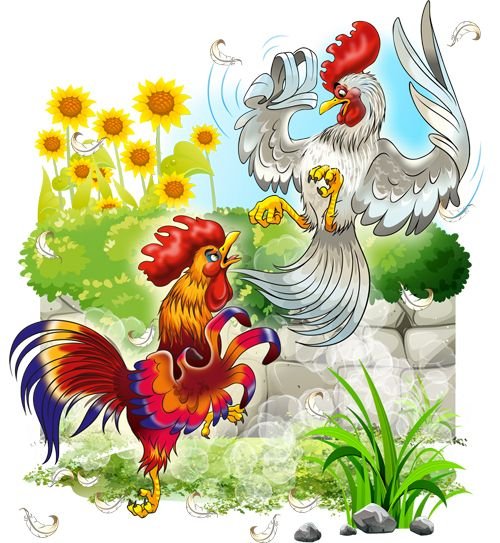 Петух петушится