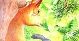 Басня белка и волк