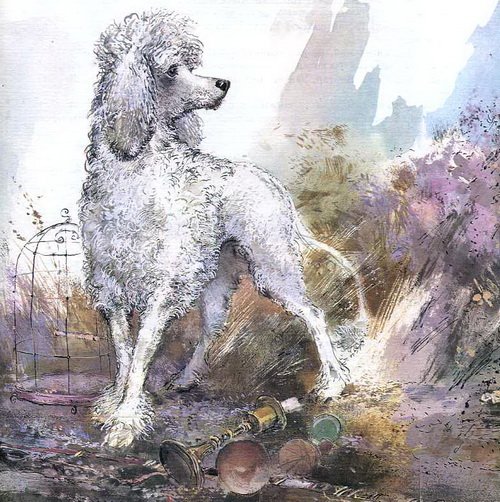 Белый пудель Куприна