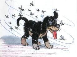 Сергей Михалков у меня пропал щенок