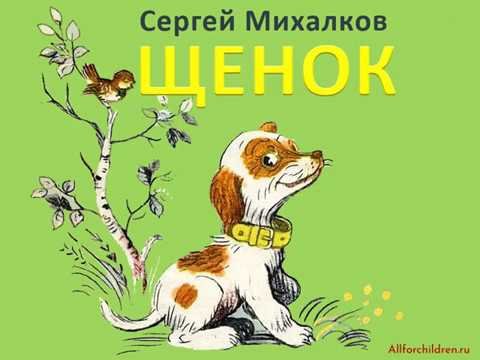 Книга мой щенок