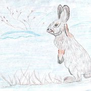 Рубцов про зайца рисунок