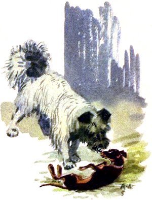 Куприн Барбос и Жулька иллюстрации