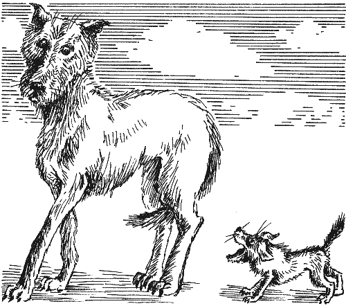 Пес Барбос и Жулька