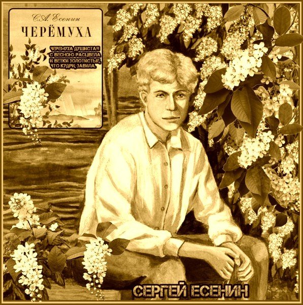 Сыплет черёмуха снегом Есенин