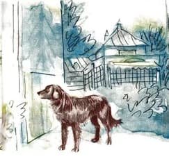 Л Н Андреев кусака