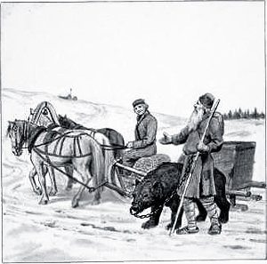 Иллюстрация к железной дороге Некрасова