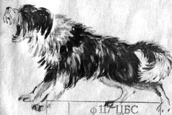 Н Артюхова трусиха