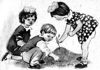 Артюхова трусиха