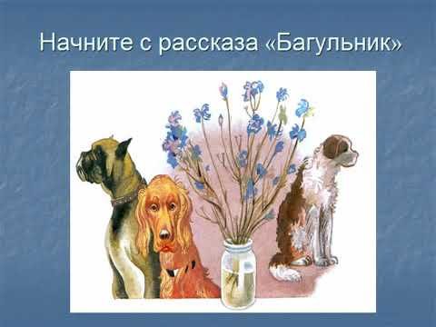Юрий Яковлев багульник иллюстрации