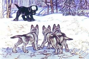 Иллюстрация белолобый Чехова