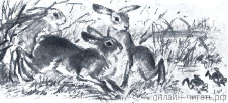 Л Н толстой зайцы и лягушки