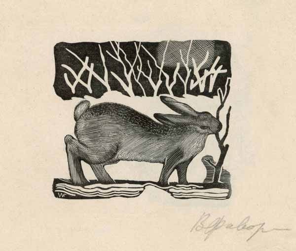 Фаворский заяц