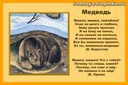 Медвежонок в берлоге