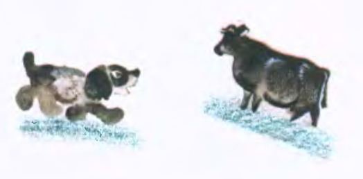 Иллюстрация к рассказу томкины сны (50 фото)