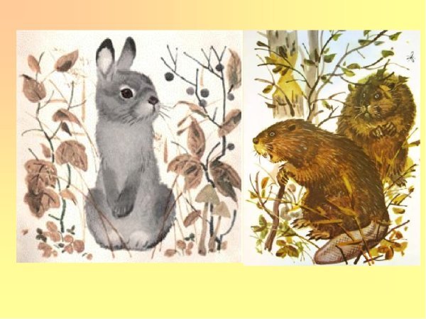 Листопадничек Соколов-Микитов