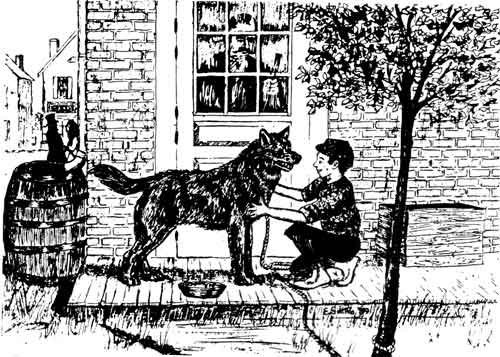 Э Сетон Томпсон Чинк