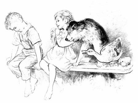 Осеева Строитель