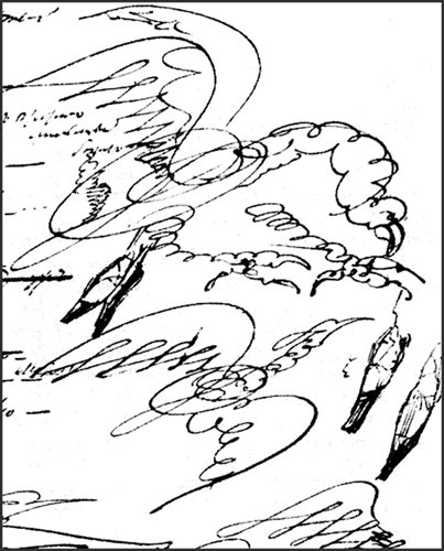 Птичка Пушкин иллюстрации