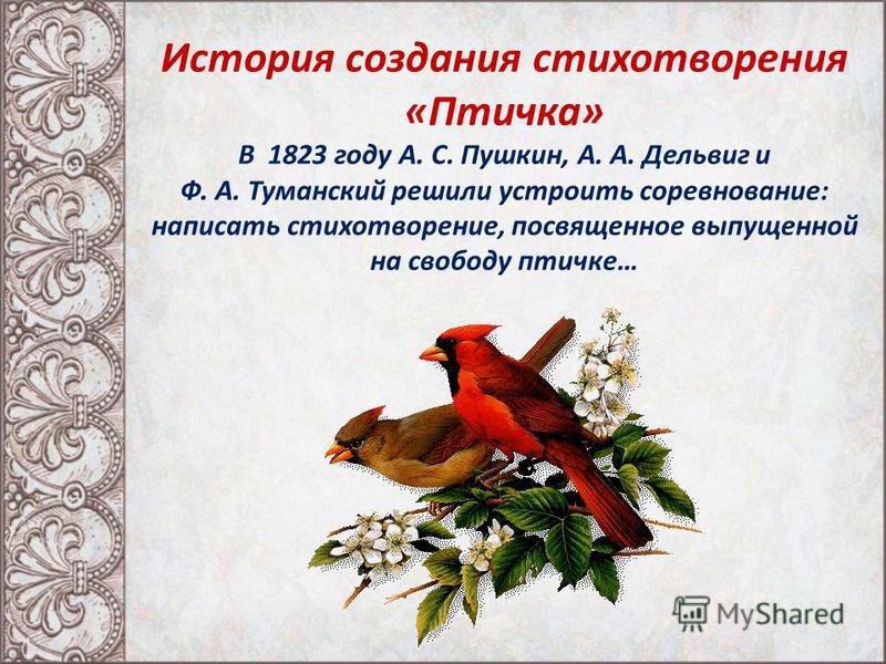 Анализ стихотворения у птицы есть. Пушкин птичка стихотворение. Пушкин а.с. "птицы". Стихотворение Пушкина птичка.