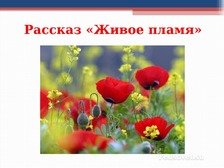 Носов живое пламя