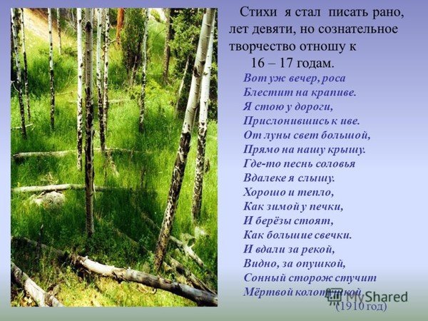 Николай рубцов Березовая роща