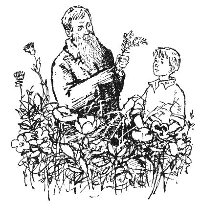 Андрей Платонов цветок на земле