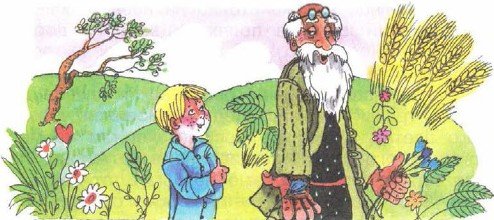 Цветок на земле Платонов