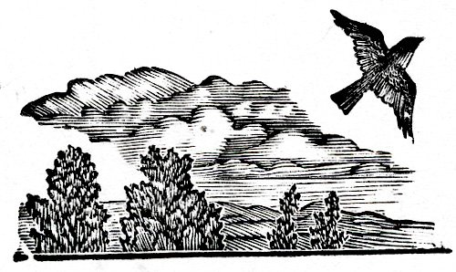 Михаил Юрьевич Лермонтов тучи иллюстрация