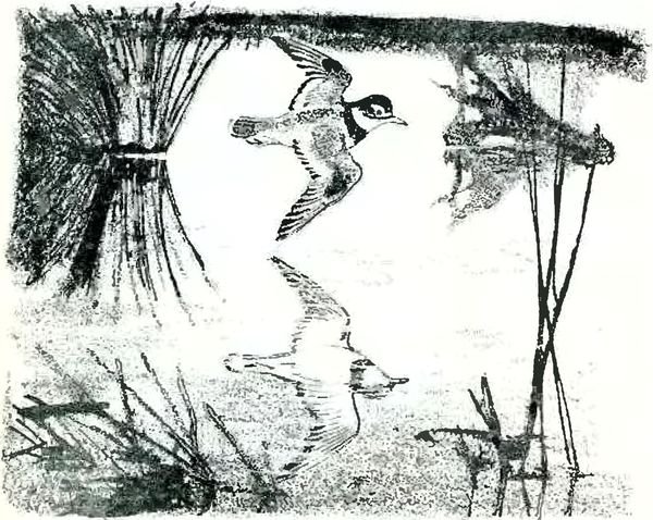 Остров спасения пришвин рисунок