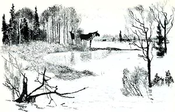 Рачёв Евгений Михайлович иллюстрации пришвин