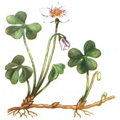 Скребицкий четыре художника зима