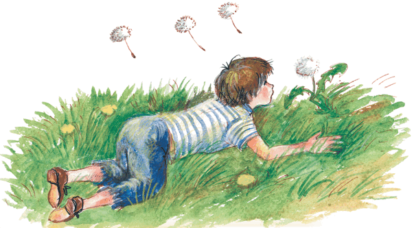 Леонида Андреева Петька на даче