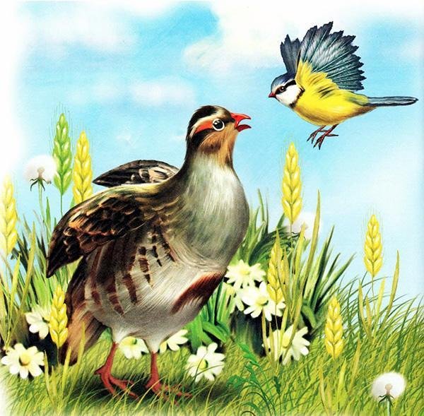 Виталий Бианки Синичкин календарь