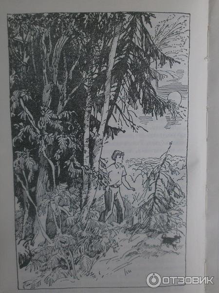 Гайдар дым в лесу иллюстрации