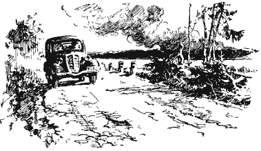 Аркадий Гайдар дым в лесу