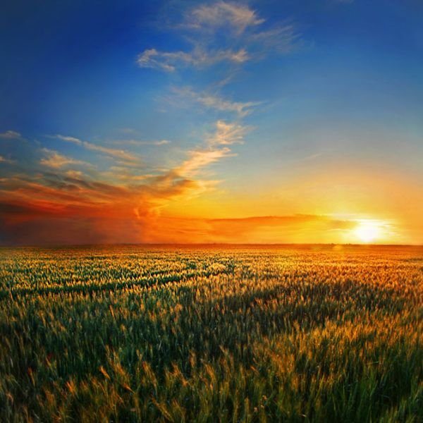 Последние лучи заката