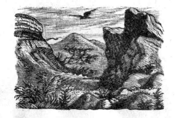 Михаил Юрьевич Лермонтов беглец