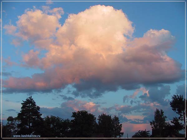 Никитин в синем небе