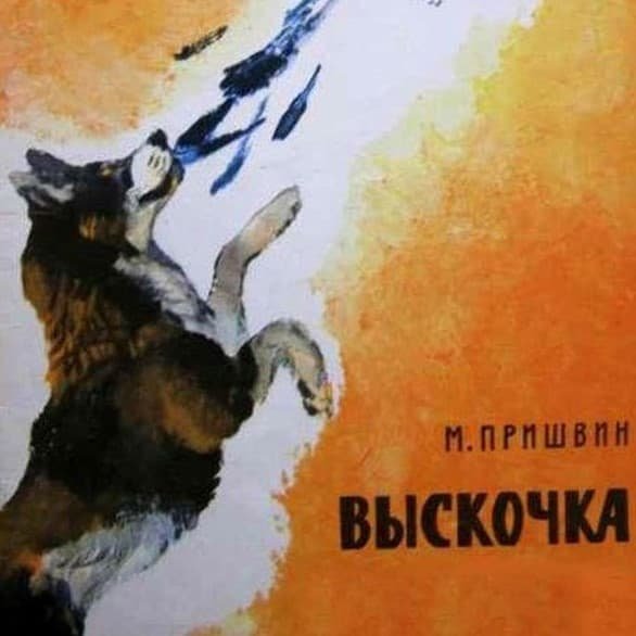 Выскочка пришвин книга