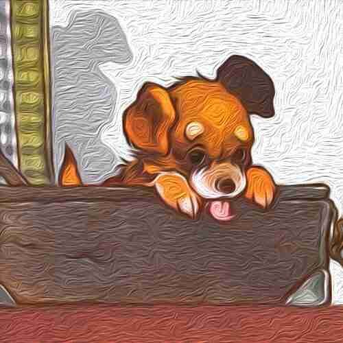 Н Носов дружок герои