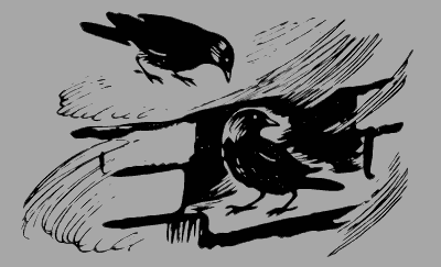 Стихи про галку для детей