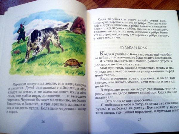 Черепаха убегает