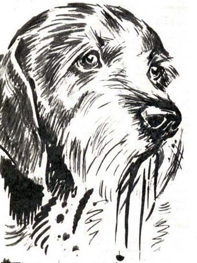 Тургенев Муму Герасим