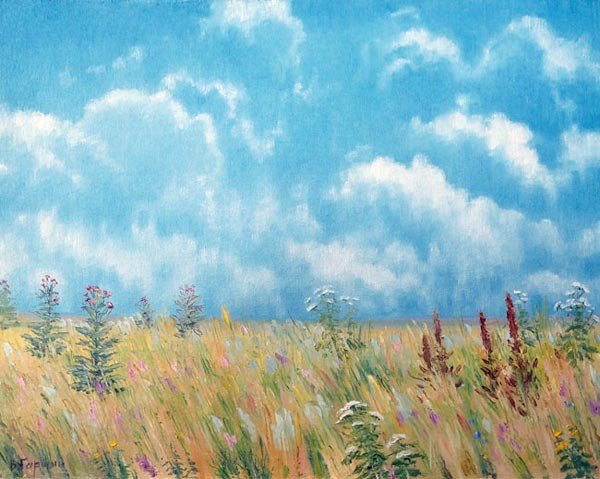 Романс в синем небе плывут над полями