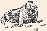 Вера Чаплина морж Нюрка