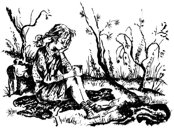 Нюрка Юрий Коваль иллюстрация