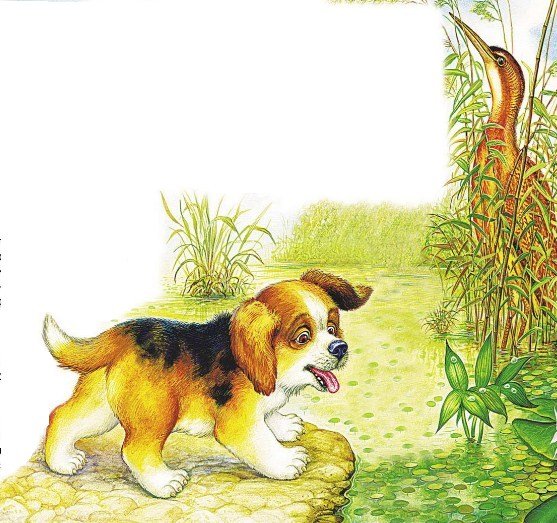 Виталий Валентинович Бианки 1 охота